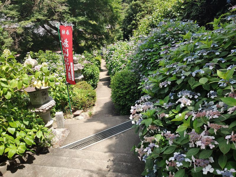 西法院